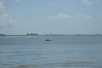 DSC_7631 (Large).JPG